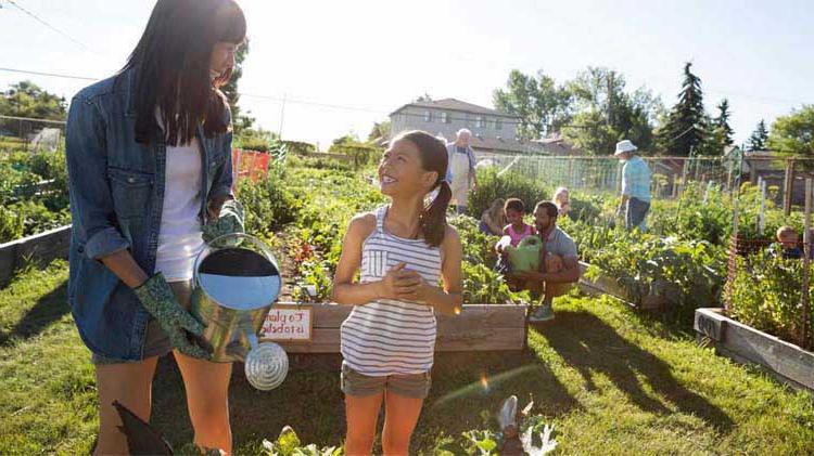 Woman and child watering plants in the sunshine.